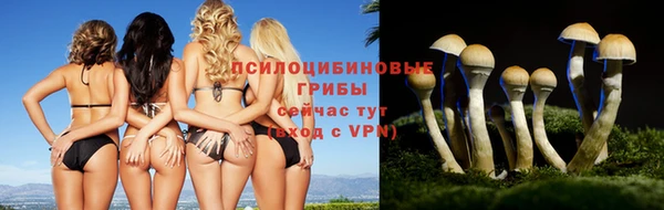 дурь Аркадак