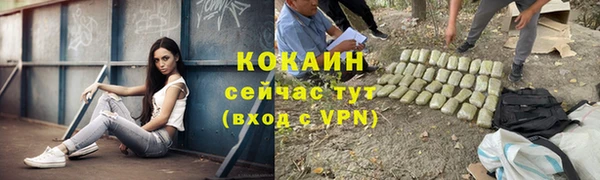 дурь Аркадак