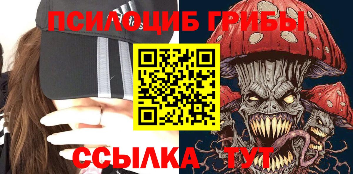 Галлюциногенные грибы GOLDEN TEACHER Дмитров